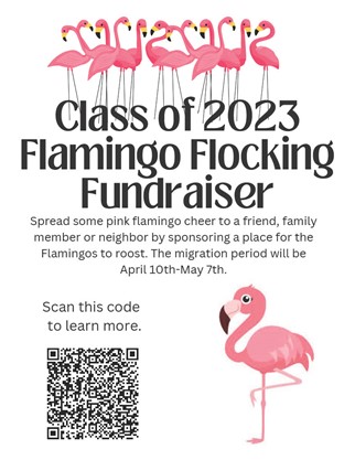 Flamingo Flocking Flyer