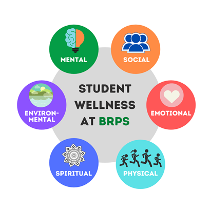 BR Wellness Logo